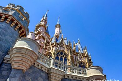 A Horrible Food Crime Was Committed at Magic Kingdom, and It’s Not the First Time