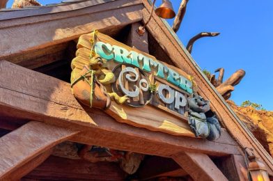 NEWS: A NEW Store Is Open in Magic Kingdom NOW!