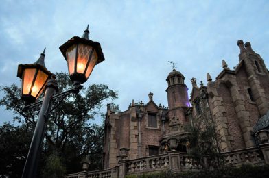 The Harassment Mansion: Female Guest Receives Stretching Room Squeeze on Rear at Magic Kingdom