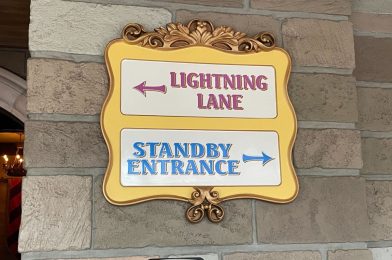 Disney World Advance Lightning Lane Passes Available for Purchase by Canadian Guests