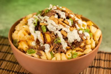 New Barbacoa Beef Nachos & Alfredo Mac & Cheese at Disney’s Animal Kingdom