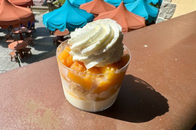 3 Sweet Treats Return to Celebrate Tiana’s Bayou Adventure at Magic Kingdom