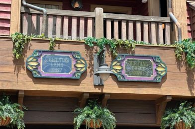 Advance Lightning Lane Purchases Will Not Be Available to International Guests