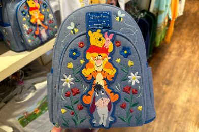 New Winnie the Pooh Loungefly Denim Backpack and Wallet at Walt Disney World