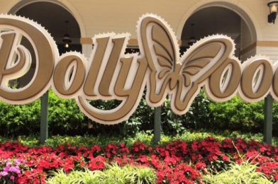 NEWS: Flash Flooding Hits Dollywood Theme Park