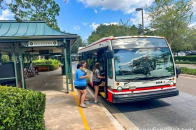 The 2025 Disney World Transportation Problem You Need To Be WORRIED About