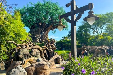 50 AMAZING Things You Never Knew Were in Disney’s Animal Kingdom