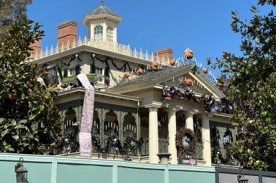 Haunted Mansion Holiday Theming Up at Disneyland Ahead of Ride’s Reopening