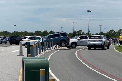 Parking Lot Trams Closed at Disney’s Animal Kingdom After SUV Somehow Gets Stuck on Barrier