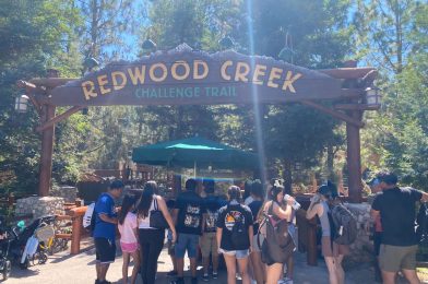 Redwood Creek Challenge Trail Reopens at Disney California Adventure