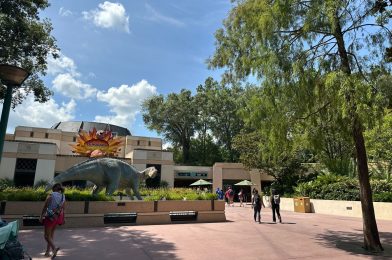 Disney Begins Tree Removal on DINOSAUR, Closure Likely Imminent