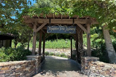 New ‘Golden Vine House’ DVC Welcome Home Center Opens at Disney California Adventure