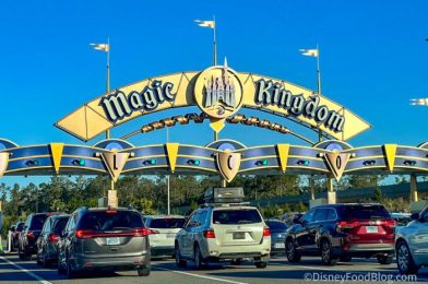 BREAKING: Large Police Presence Reported at Magic Kingdom, Park Locked Down While Guests Evacuated Backstage