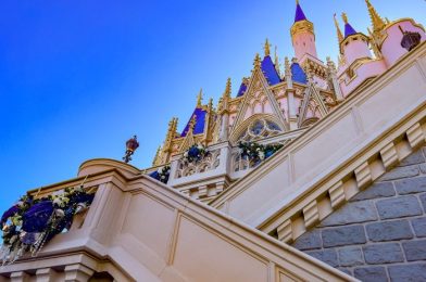 Magic Kingdom Is the #1 Most Visited Theme Park in the World, But We Didn’t Expect THIS!