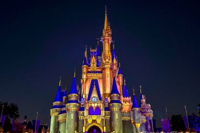 CONFIRMED: Disney World Announces NEW After Hours Event Dates for 2025