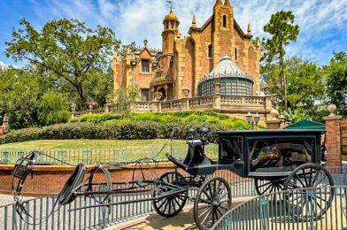 NEWS: A Missing Ghost Is BACK at The Haunted Mansion in Magic Kingdom