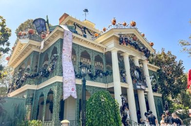 Something NEW Arrived at Disney’s Haunted Mansion Attraction, and You’re Gonna LOVE It!