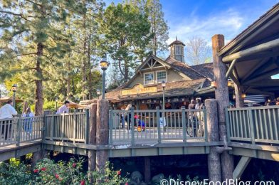 SPOTTED: Disney’s New Country Bear Jamboree Restaurant Takes BIG STEP Toward Opening