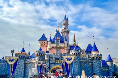 GOOD NEWS! It’s About To Get Easier To Walk Around Disneyland