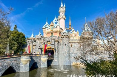 50 Easy Tricks That Make Disneyland So Much Better