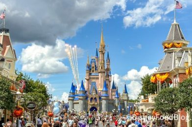 Do YOU Qualify for These Exclusive NEW Disney World Hotel and Ticket Discounts?