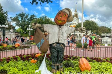 REVIEW: Orangesicle Popcorn. Disney’s Best Idea EVER, or a Repulsive Mistake?