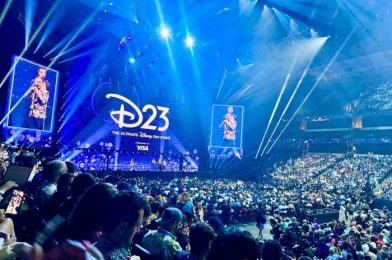 Being a Disney Fan in 2027 Could Be Expensive for One Weirdly Specific Reason