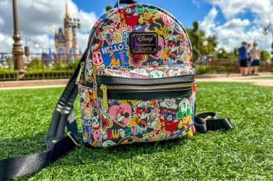 6 Things You’ll Regret Not Putting in Your Disney Parks Bag