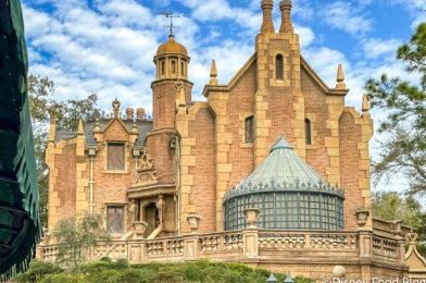 “Nobody Thinks You’re Cool!” Please DO NOT Do This at the Haunted Mansion in Disney World