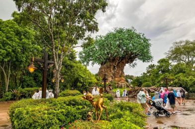 5 Things You NEVER Want to Hear a Disney World Cast Member Say