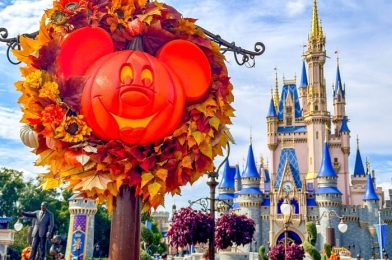 4 New Disney World Discounts Announced!