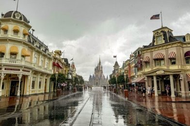 Why Everyone Is Buying This $14 Poncho for Disney World