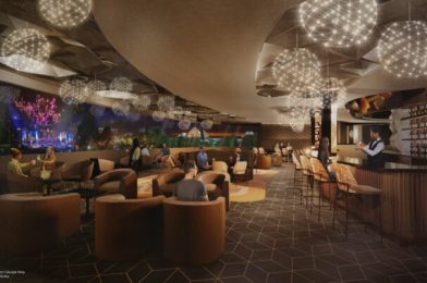 2 NEW Lounges Coming to Disney World 2025