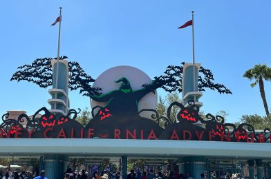 Festive Halloween Decor Added to Disneyland Resort