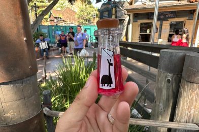 Kuzco’s Poison Bottle Glow Cube From Disneyland Will (Probably) Not Turn You Into a Llama