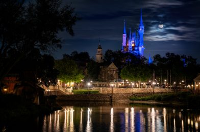 2025 Walt Disney World Calendar by Photographer Matthew Cooper Now on Sale with Early Bird Discount