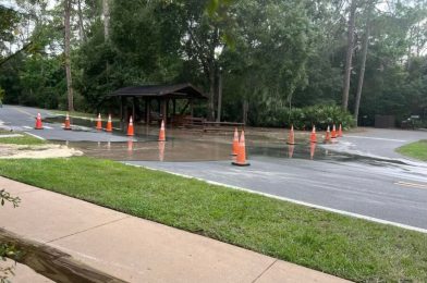 Sewage in the Street Leaves Loops Unusable at Fort Wilderness Resort