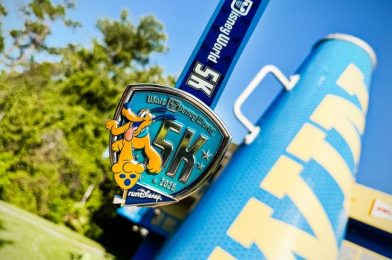 runDisney Unveils 2025 Walt Disney World Marathon Weekend Medals