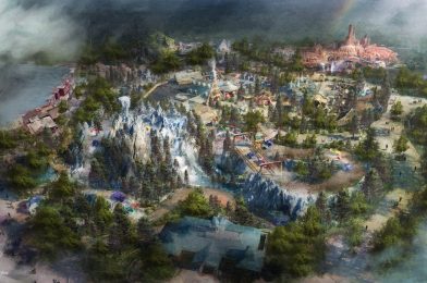 New Details Revealed for Largest Expansion at Magic Kingdom