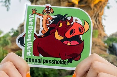 New Timon and Pumbaa Passholder Magnet Available at Disney’s Animal Kingdom