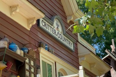 Critter Country at Disneyland Getting New Name When Tiana’s Bayou Adventure Opens