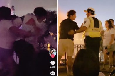 Fight Breaks Out During ‘Fantasmic!’ at Disneyland