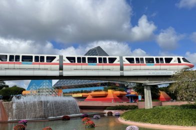 EPCOT Climbs While Hollywood Studios and Animal Kingdom Stumble According to 2023 Attendance Report