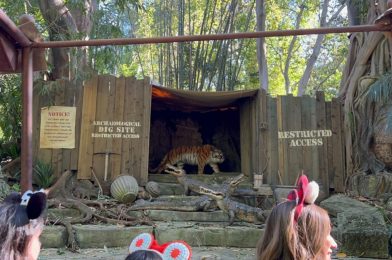 Disneyland Spending $600,000 to Replace Crumbling Jungle Cruise Tiger Scene