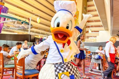 NEWS: Donald Duck Will Appear in a SPICY New Interview Soon