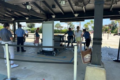 Security Testing Guest Bag X-Ray Machines at Disney’s Animal Kingdom