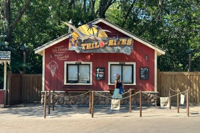 REVIEW: Passholder-Exclusive Rafiki Wildberry and DOLE Whip Orange Float at Disney’s Animal Kingdom