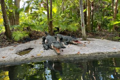 Jungle Cruise Closed for Two Month Refurbishment at Walt Disney World