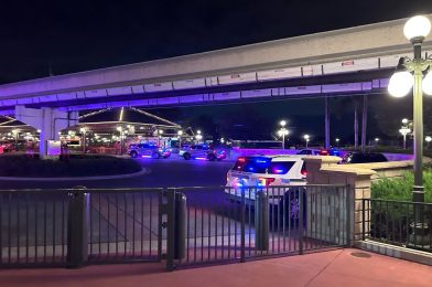 Disney Releases Statement After False Active Shooter Report at Magic Kingdom