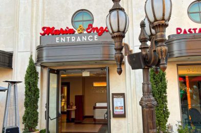 NEWS: Union Announces Effort To Organize Disney World Restaurant Workers